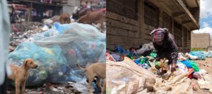 I Nairobis slumområden finns enorma mängder avfall